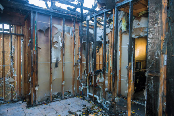 Professional Fire Damage Removal technician working in Woodville, FL